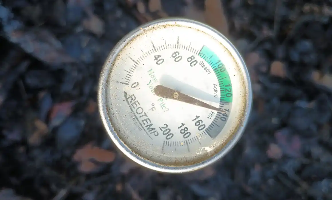 Temperature reading in compost pile