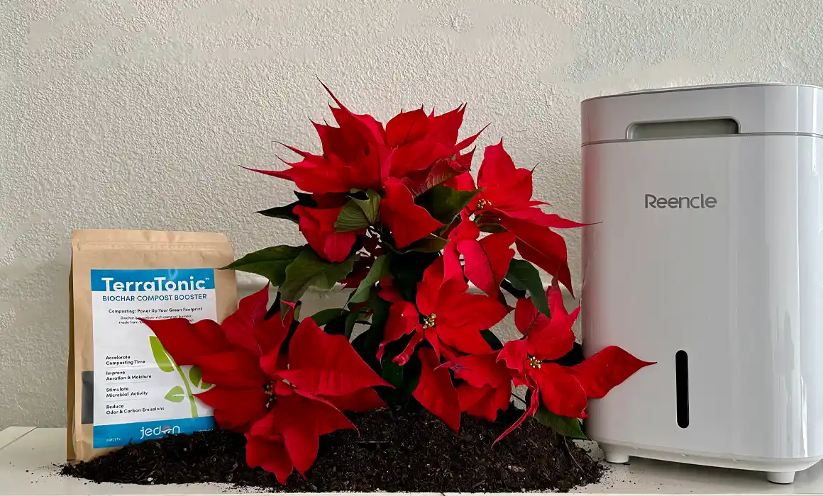 Reencle Composter with TerraTonic Biochar and Poinsettia plant