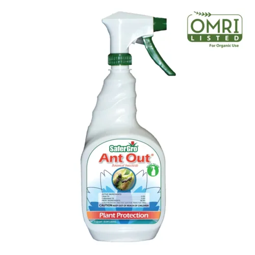 Ant Out | Organic Ant Killer | Ready-to-Use