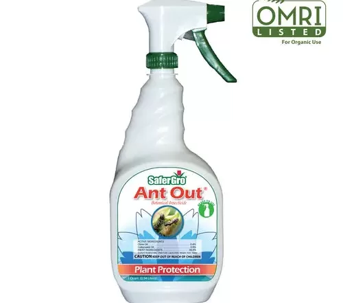 Ant Out Bottle