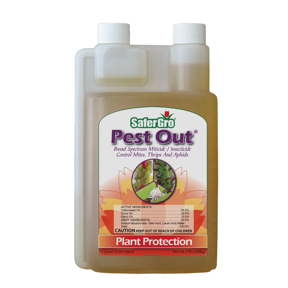 Pest Out organic miticide & insecticide