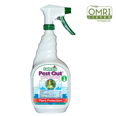 Pest Out organic insecticide and miticide