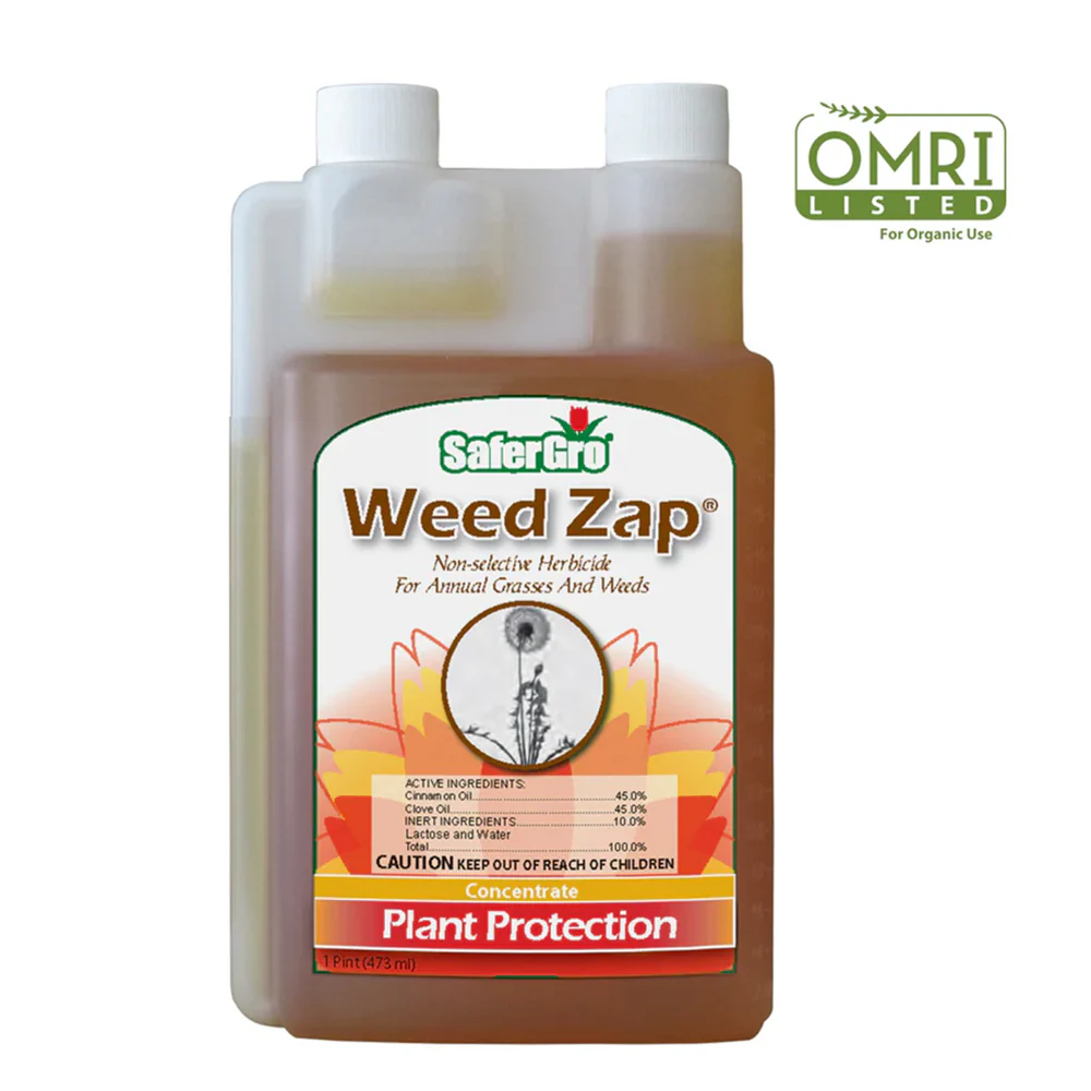 Weed Zap organic hurbicide