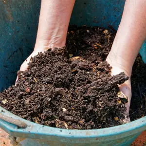 Handful of compost soil in bucket