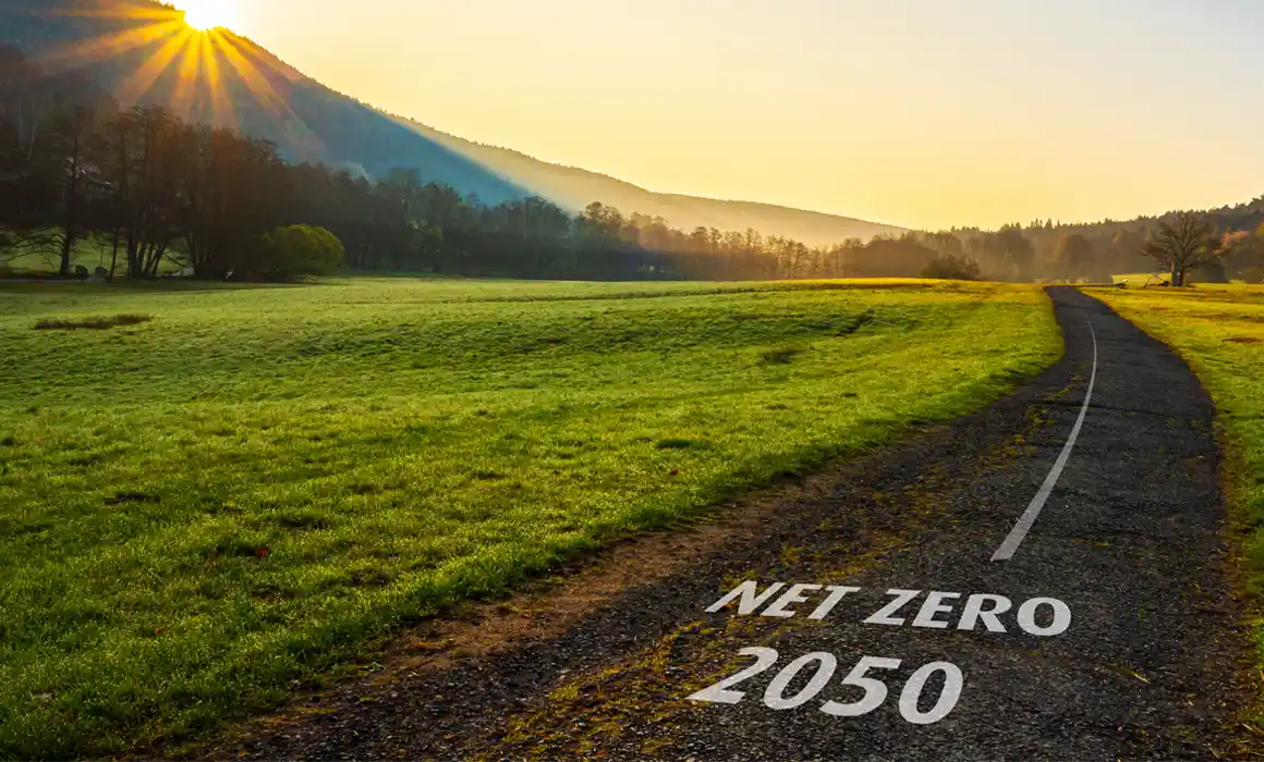 Net Zero 2050 Vision