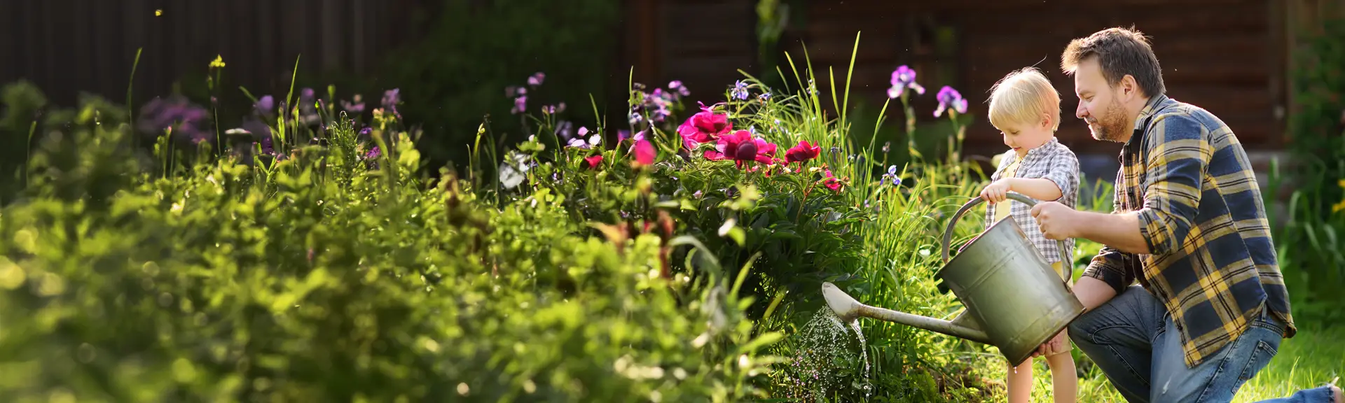 Dad & son watering plants in garden