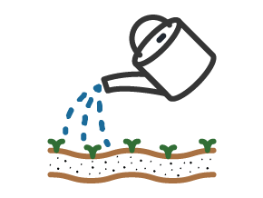 Watering after TerraTonic Biochar application