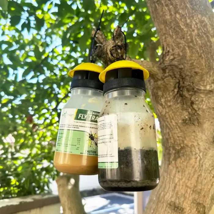 Fly Traps hung under tree