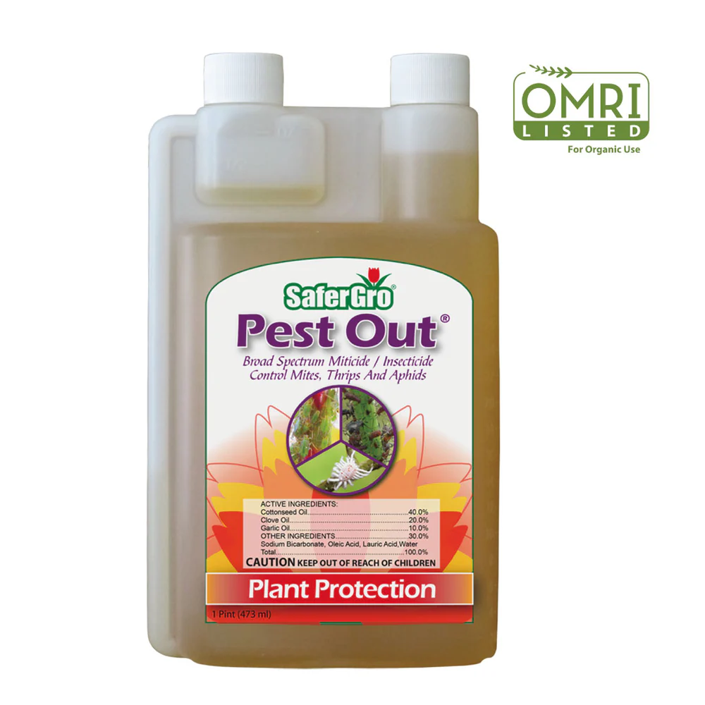 Pest Out organic insecticide & miticide 