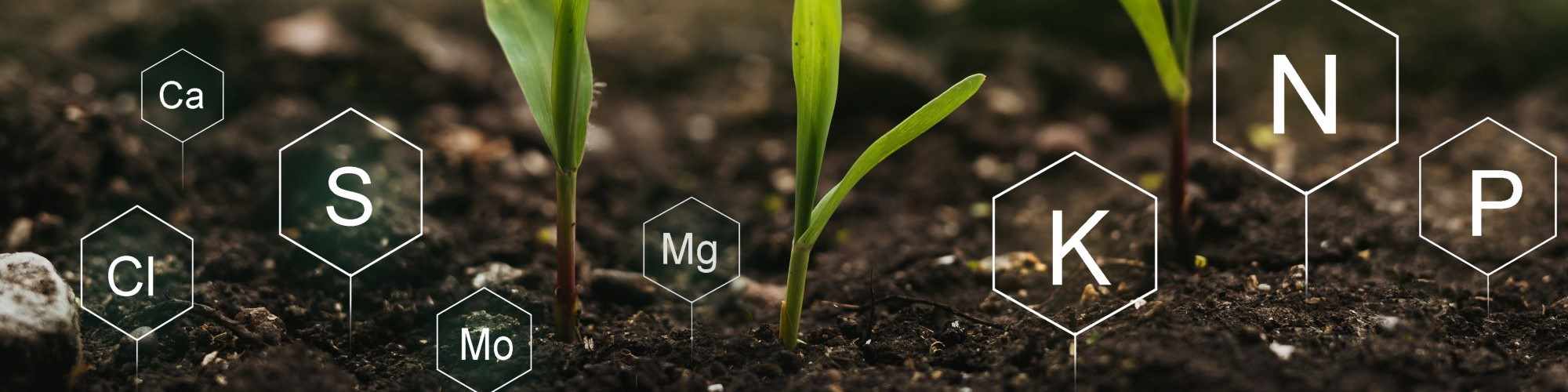 nutrients-fertilizers-soil-plants