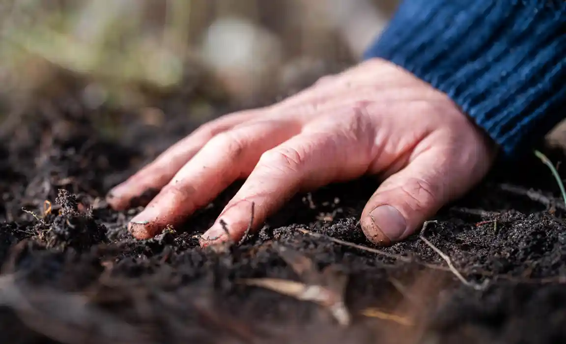 Farmer feeling the soil, hand in soil. in the regenerative organic farmer