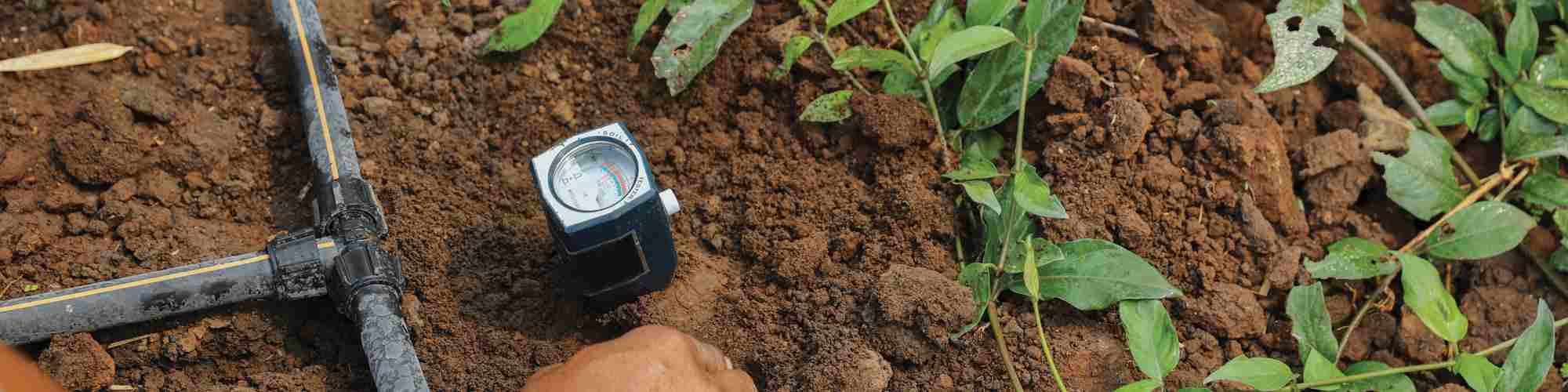 Farmers use soil PH measurement tools to check the quality before planting.